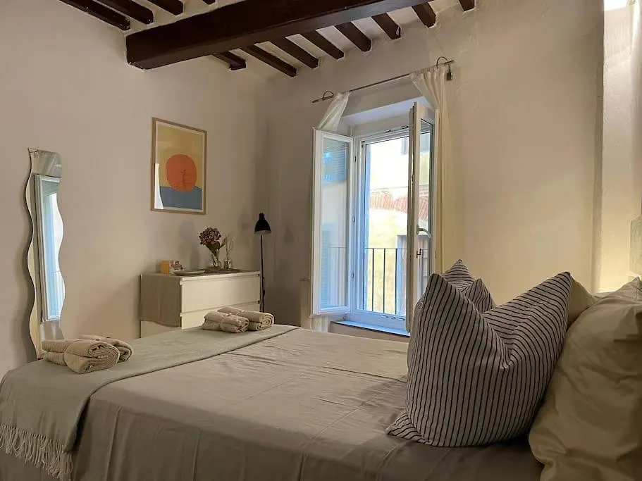 Casa Storica Nel Cuore Di Pisa - Lungarno Apartment